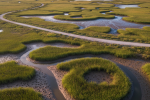 Drone view of a marsh edge dotted with crab burrow openings near a path.